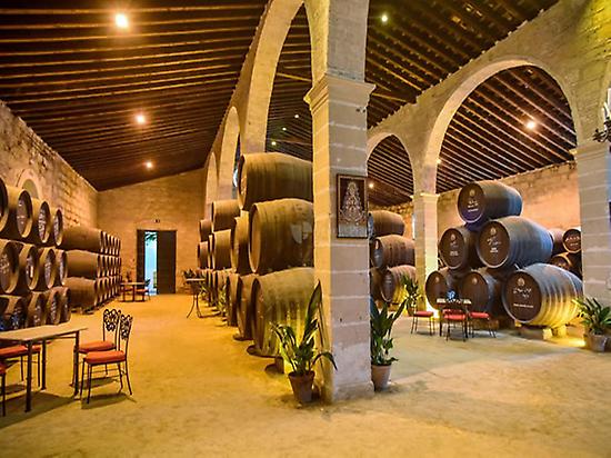 Tour of the wineries in Jerez
