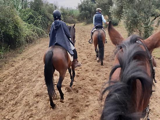 Horse riding in Doñana