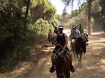 Paseos a caballo en Sevilla