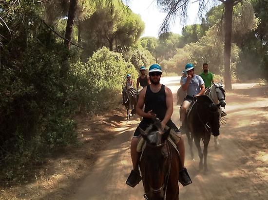 Horse ride through the Aljarafe