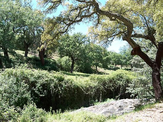 Sierra de Aracena