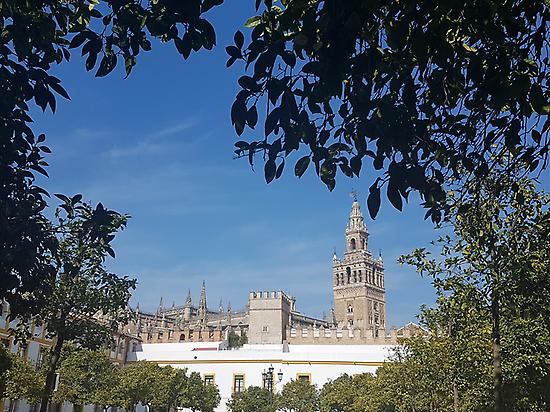 Monumental Seville Tour