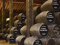 Tour of the wineries in Jerez