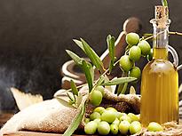 Visita Molino de aceite de oliva