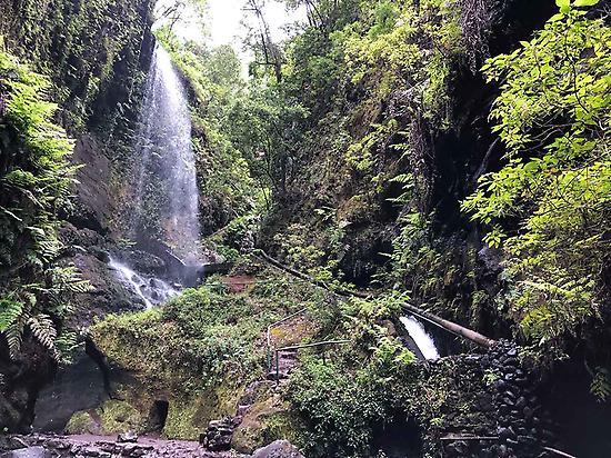 Wasserfall von Los Tilos