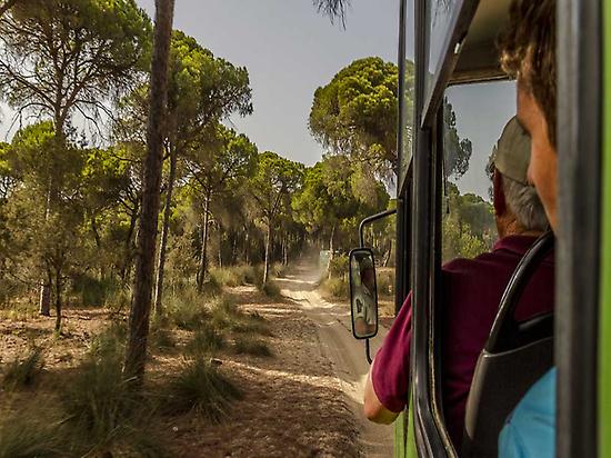 Doñana tour (Shemsu.Hor-Flickr)