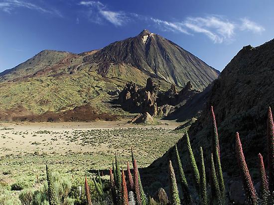 Teide Tour and Cable Car Ride