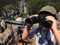 Observación aves del Pirineo