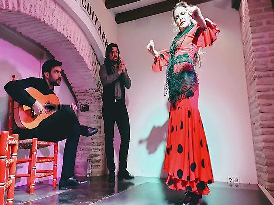 Best Flamenco Show in Seville