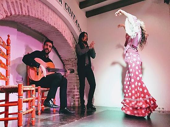 Discover the secrets behind Flamenco