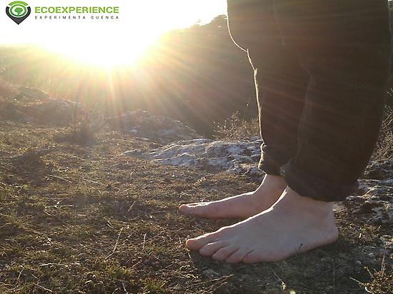 sunny barefoot