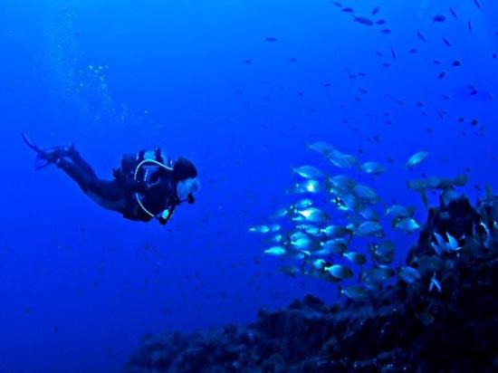 Make your scuba diving debut in Mataró