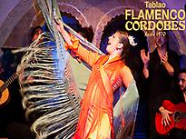 Cordobés Tablao Flamenco