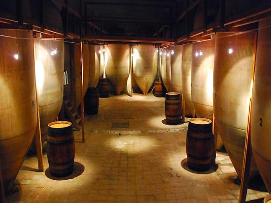 Bodega interior