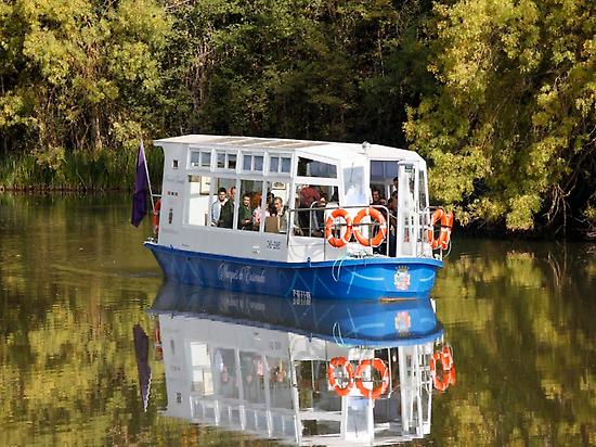 Paseo en barco por el Canal de Castilla