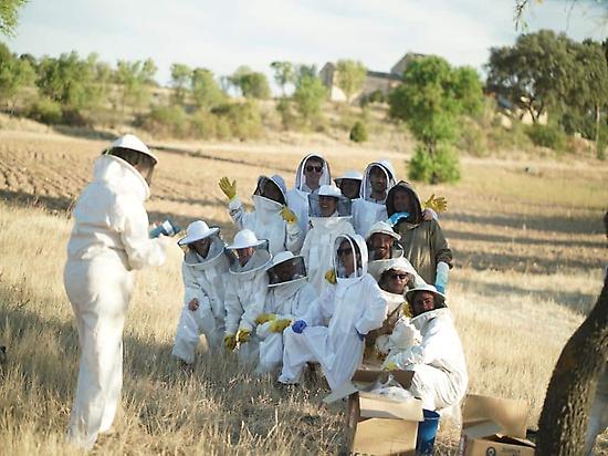 Apiturismo