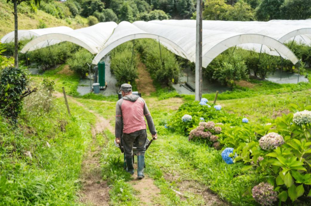 Eco-experience