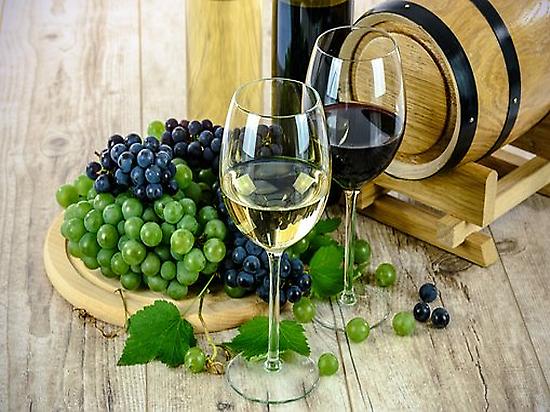 View of wine tasting.