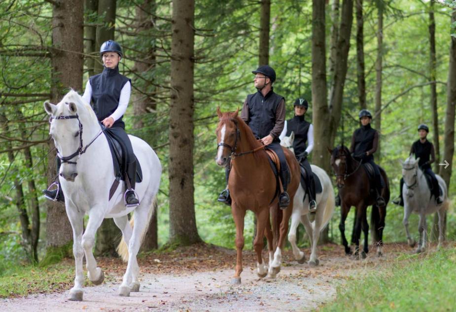 Ruta a caballo