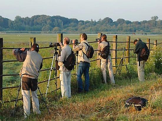View of the activity.