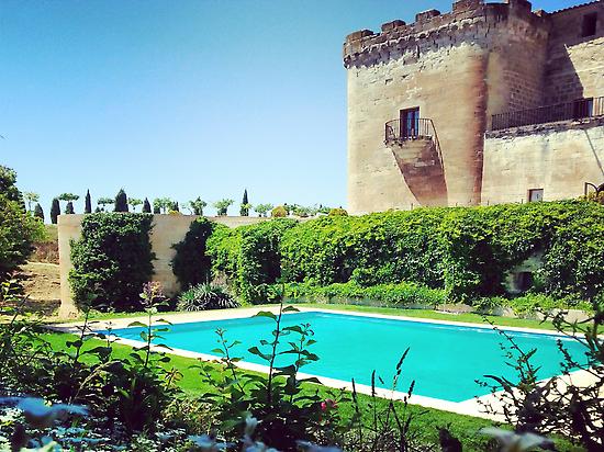 View of the castle.
