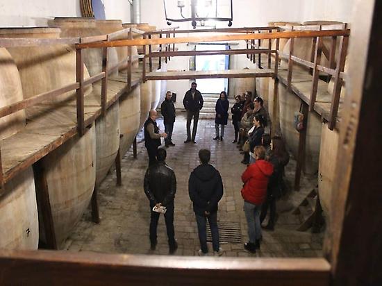 Visita bodega