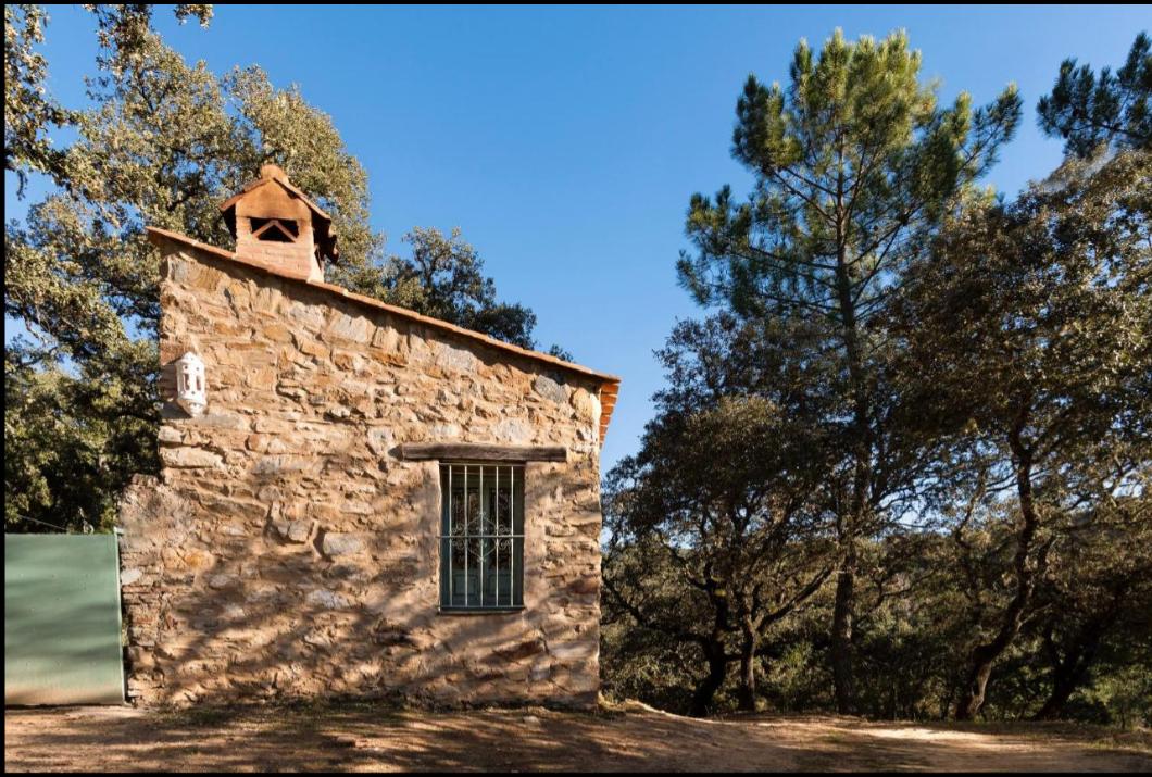 Un día de corte y cata en Jabugo, Huelva