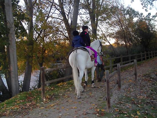 Ruta a caballo por la ribera del río