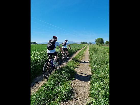 Easy biking in fantastic landscape.