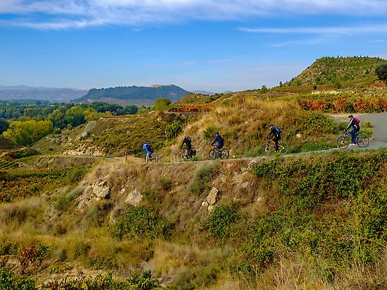 All routes created by us, the experts!