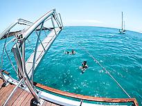 Snorkel a bordo Barco Majorero