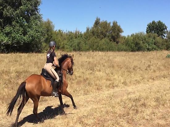 Trailriding in Doñana (Andalusia)