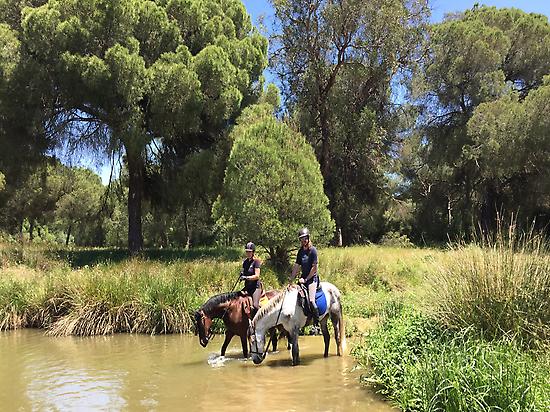 Horse riding in Doñana (Andalusia)