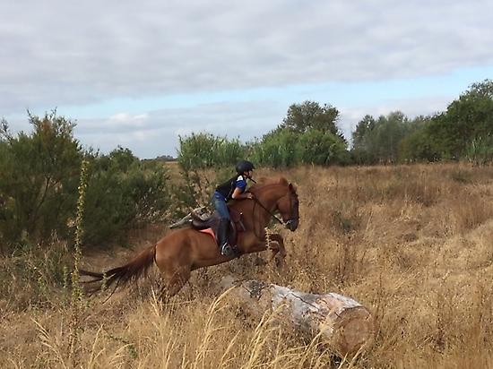 Horseback riding in Doñana (Andalusia)
