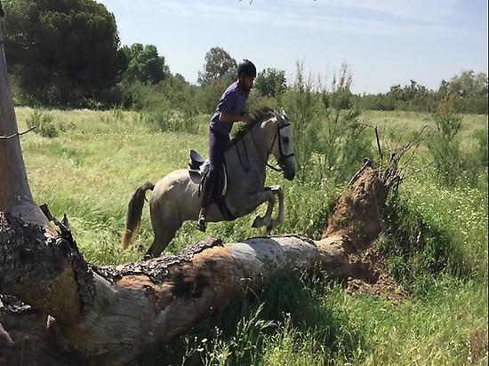 Aventuras a caballo en El Rocio (Huelva)