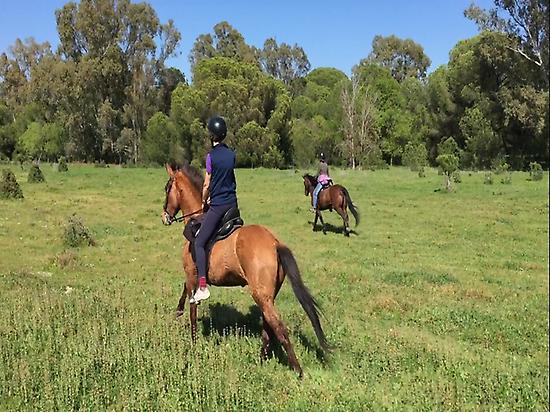 Horseriding in Doñana (Andalusia)