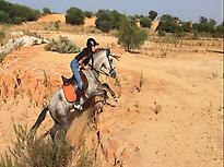 Aventura a caballo en Doñana (Andalucia)