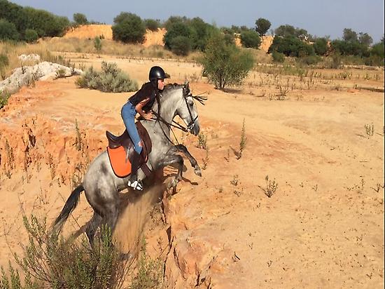 Horse adventures in Doñana (Andalusia)