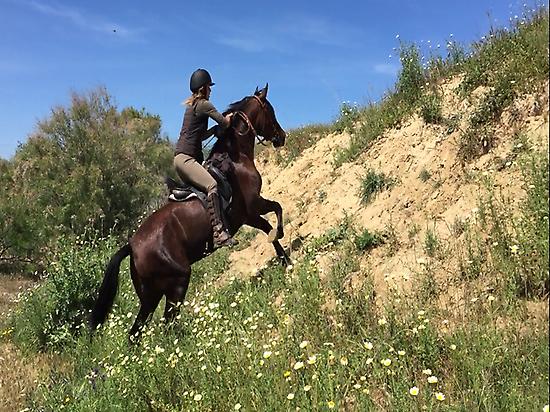 montar a caballo en El Rocio (Huelva)