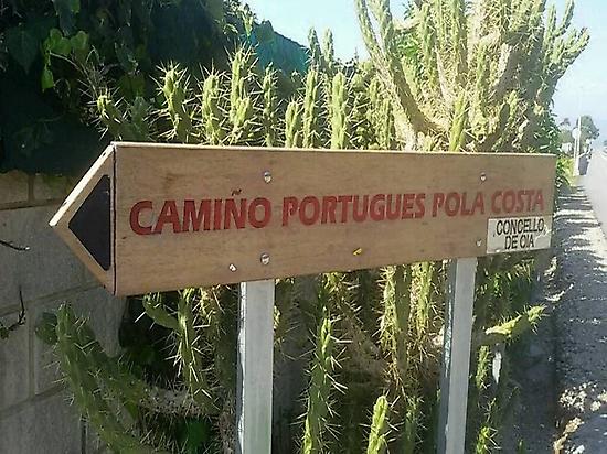 Camino Portugues por la Costa