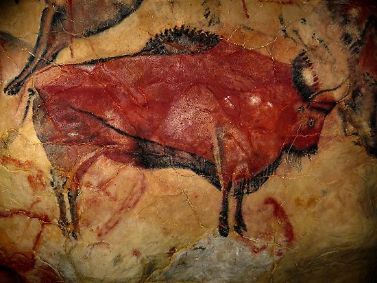 Bison en pared Museo Altamira
