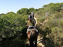 Horse ride in Sevilla countryside