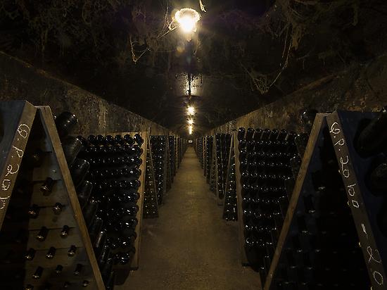 Visit of an organic cellar