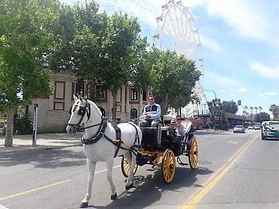 Horse Carriage Malaga