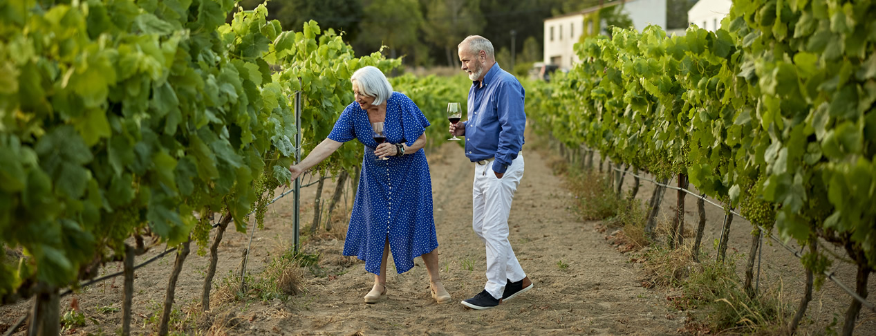 Turistas en un viñedo